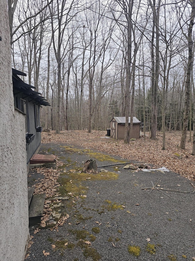 view of yard featuring an outdoor structure and a storage unit