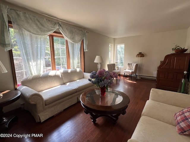 living room with hardwood / wood-style flooring and plenty of natural light