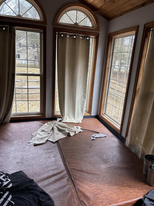 82 Pocono Rd, Albrightsville, PA 18210 - interior space featuring a healthy amount of sunlight, wood ceiling, vaulted ceiling, and carpet floors