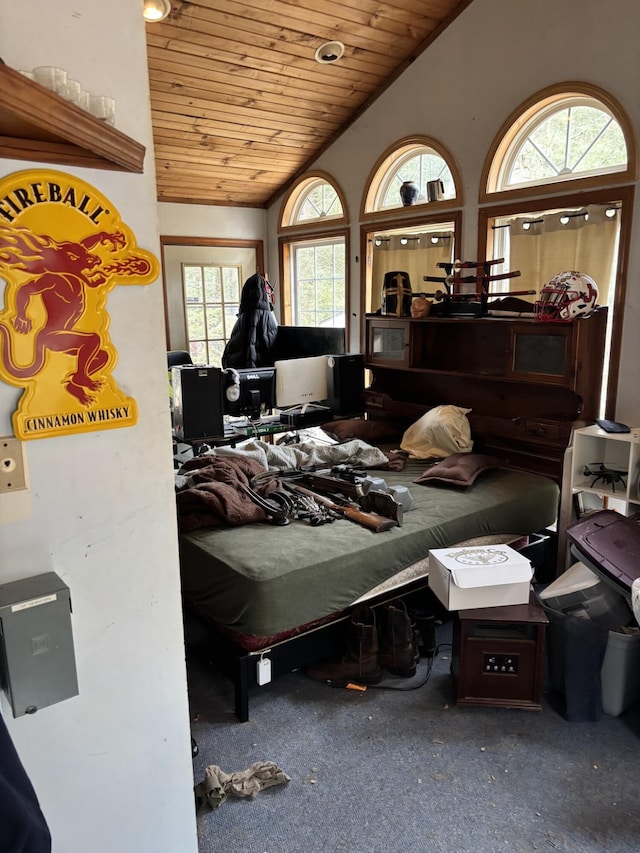 82 Pocono Rd, Albrightsville, PA 18210 - carpeted bedroom featuring wood ceiling and vaulted ceiling