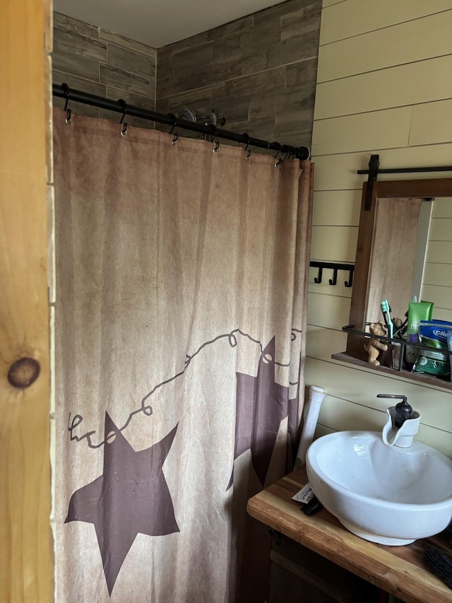 82 Pocono Rd, Albrightsville, PA 18210 - bathroom featuring wooden walls and a sink