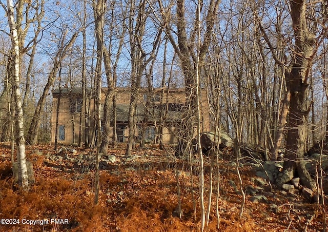 view of local wilderness