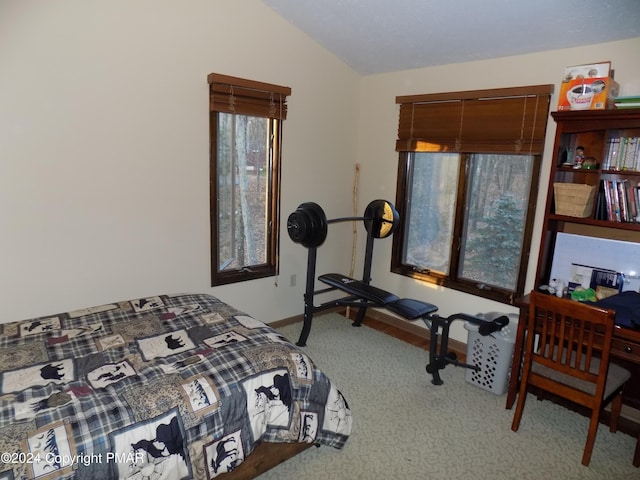 carpeted bedroom with lofted ceiling