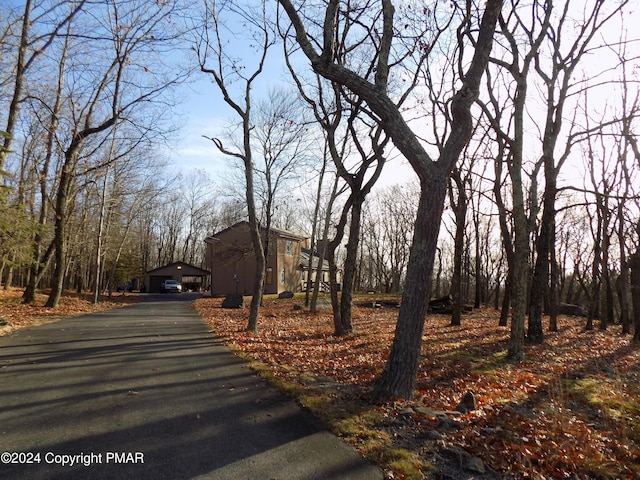 view of street featuring driveway