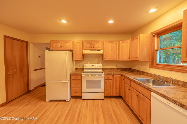 kitchen featuring sink, light brown cabinetry, white appliances, and light wood-type flooring