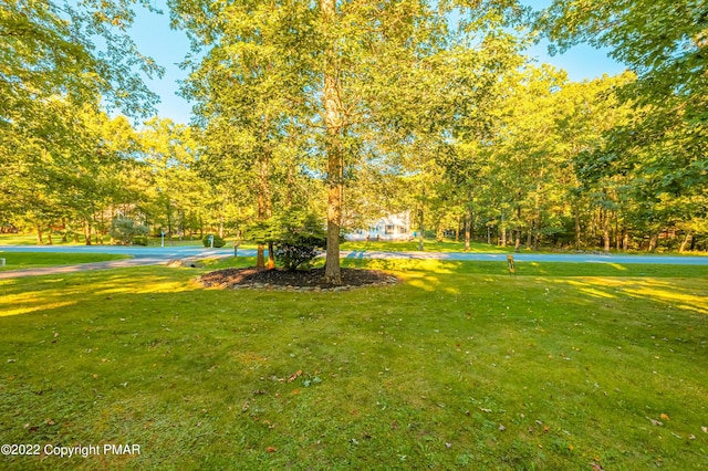 view of home's community featuring a lawn