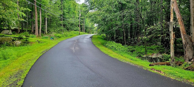 LOT461 W Creek View Dr, Clifton Township, PA 18424 - photo 3