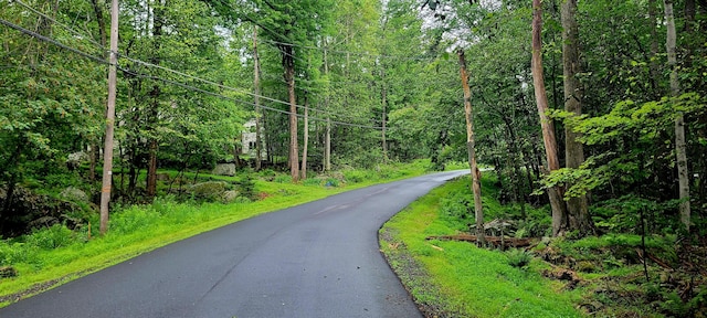 LOT461 W Creek View Dr, Clifton Township, PA 18424 - photo 4