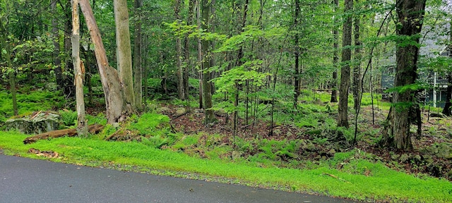LOT461 W Creek View Dr, Clifton Township, PA 18424 - photo 1
