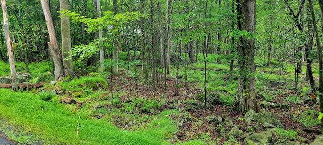 LOT461 W Creek View Dr, Clifton Township, PA 18424 - photo 2