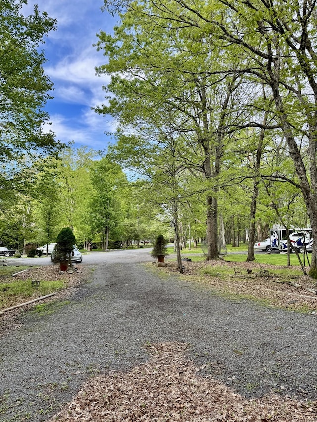 23 Van Doren Mews, Albrightsville, PA 18210 - photo 33
