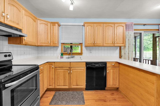 4620 Buck Valley Cir E, Stroudsburg, PA 18301 - kitchen with black dishwasher, stainless steel electric stove, range hood, and plenty of natural light