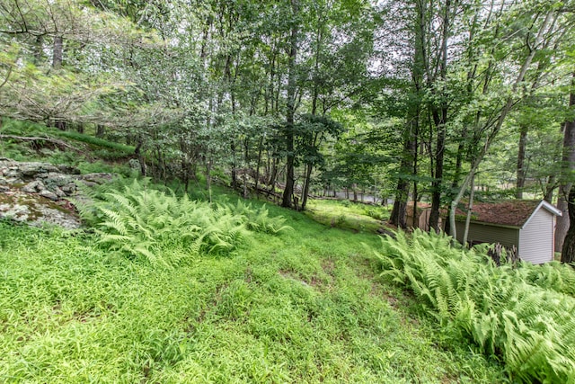 4620 Buck Valley Cir E, Stroudsburg, PA 18301 - view of local wilderness