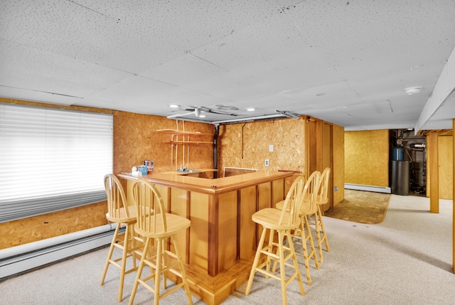 4620 Buck Valley Cir E, Stroudsburg, PA 18301 - indoor bar with baseboard heating, a baseboard radiator, and light colored carpet
