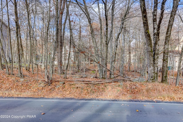 466 Country Place Dr, Tobyhanna, PA 18466