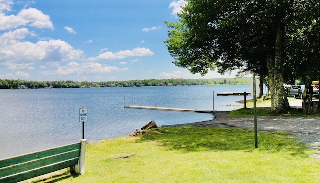 289 Towamensing Trl, Albrightsville, PA 18210 - water view with a dock