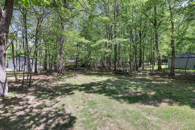 289 Towamensing Trl, Albrightsville, PA 18210 - view of green lawn