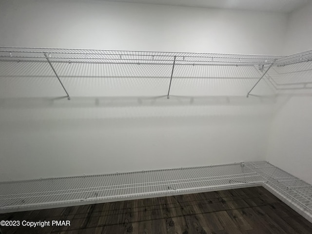 spacious closet featuring dark wood-style flooring