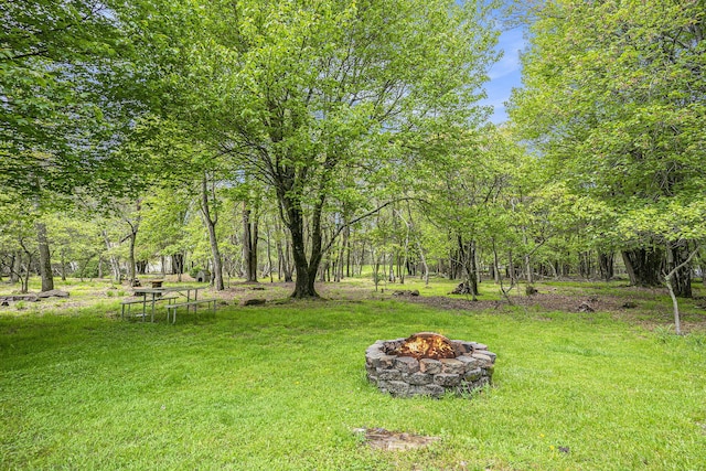 13 Denise Ct, Albrightsville, PA 18210 - photo 26