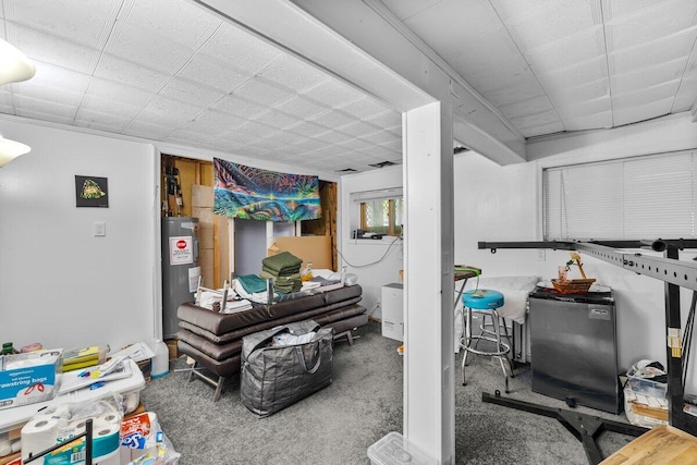322 Clubhouse Dr, East Stroudsburg, PA 18302 - below grade area featuring water heater, carpet flooring, and fridge