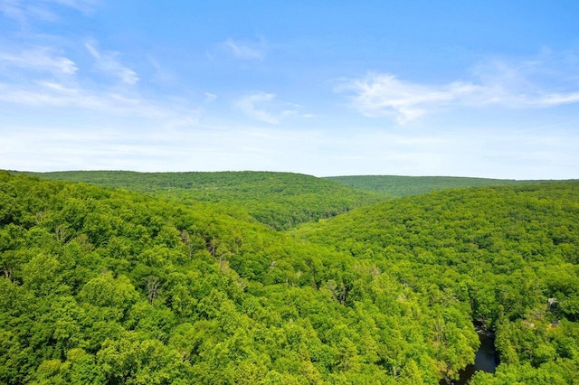 322 Clubhouse Dr, East Stroudsburg, PA 18302 - view of tree filled area