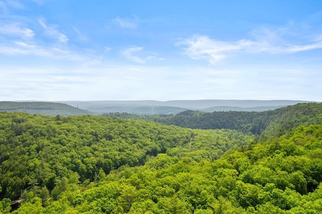 322 Clubhouse Dr, East Stroudsburg, PA 18302 - mountain view with a heavily wooded area