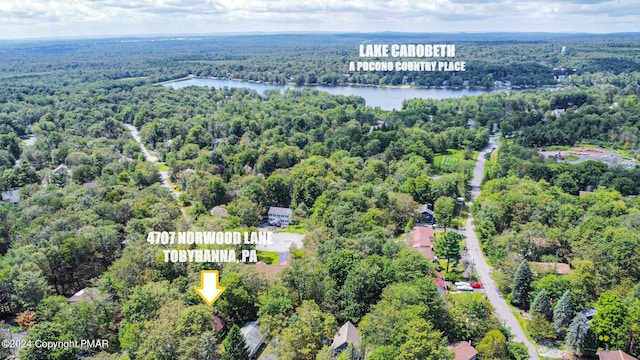 bird's eye view with a view of trees and a water view