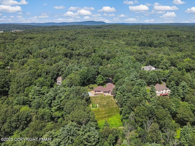 5767 Wildflower Cir, Stroudsburg, PA 18360 - photo 49