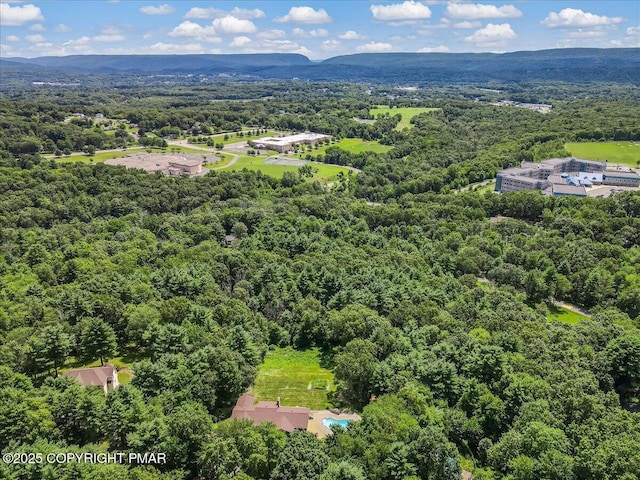 5767 Wildflower Cir, Stroudsburg, PA 18360 - photo 51
