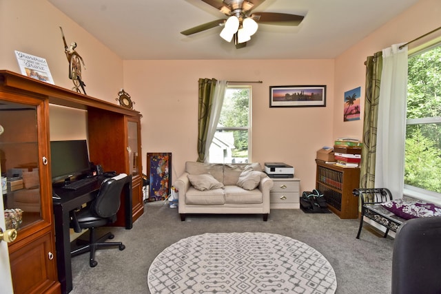 603 Washington Xing, East Stroudsburg, PA 18301 - carpeted office space with ceiling fan