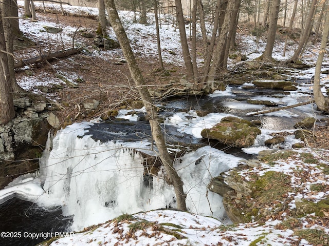 view of snowy landscape