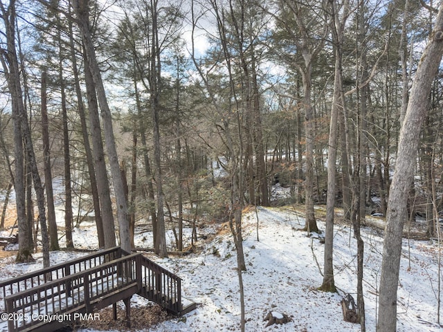 view of yard layered in snow