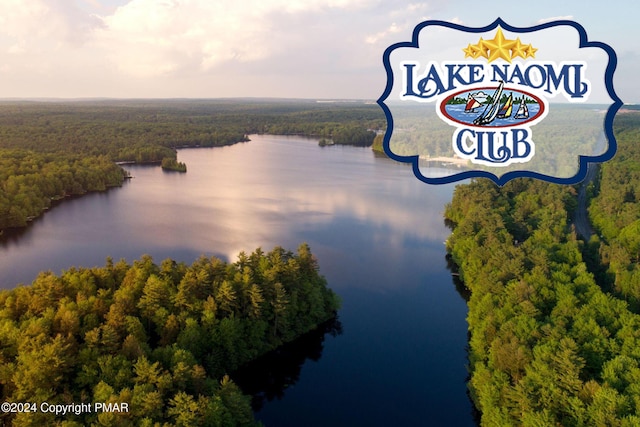 130 Sweet Briar Rd, Pocono Pines, PA 18350 - bird's eye view of a forest and a nearby body of water