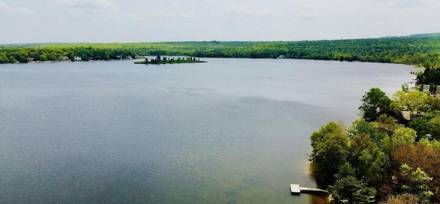 54 Spencer Ln, Albrightsville, PA 18210 - water view featuring a forest