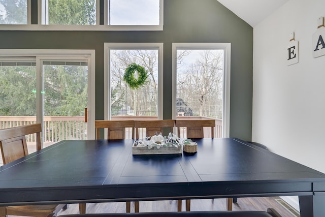 dining area featuring vaulted ceiling