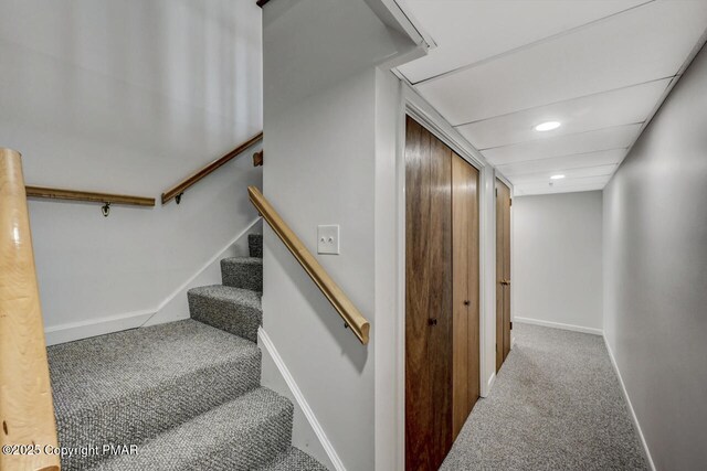 stairway featuring carpet flooring