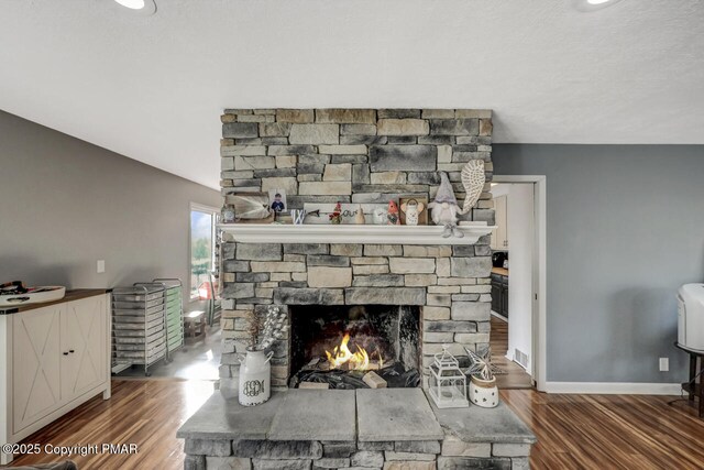 details featuring wood-type flooring and a fireplace