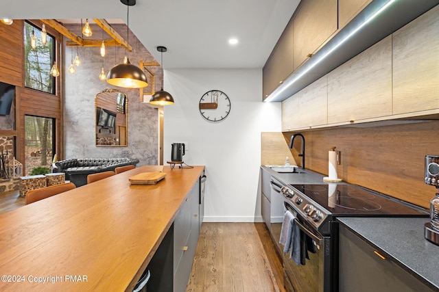 kitchen with a healthy amount of sunlight, wood finished floors, a high ceiling, a sink, and stainless steel range with electric cooktop