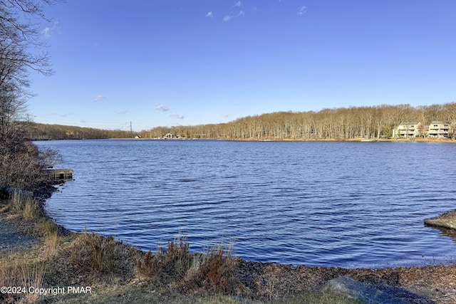 1212 Acacia Dr, Hawley, PA 18428 - water view