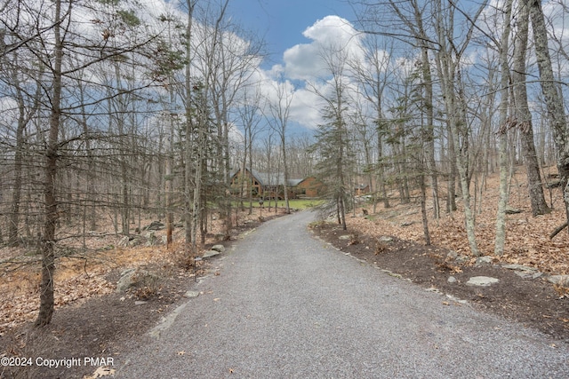1212 Acacia Dr, Hawley, PA 18428 - view of road