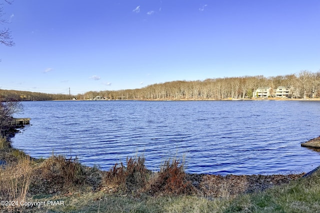 1212 Acacia Dr, Hawley, PA 18428 - water view