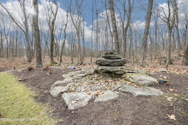 1212 Acacia Dr, Hawley, PA 18428 - view of yard