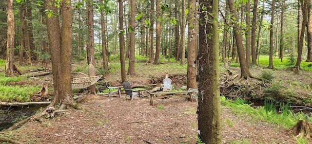 5219 Rte 115, Blakeslee, PA 18610 - photo 3