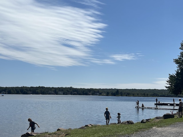 property view of water with a boat dock