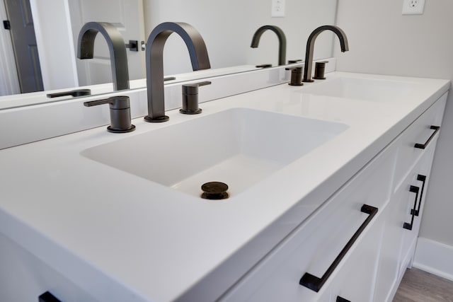 details featuring a sink, wood finished floors, and double vanity