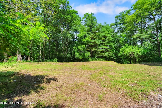 233 Congo Niantic Rd, Barto, PA 19504 - photo 25