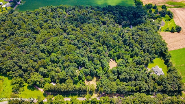 233 Congo Niantic Rd, Barto, PA 19504 - photo 3