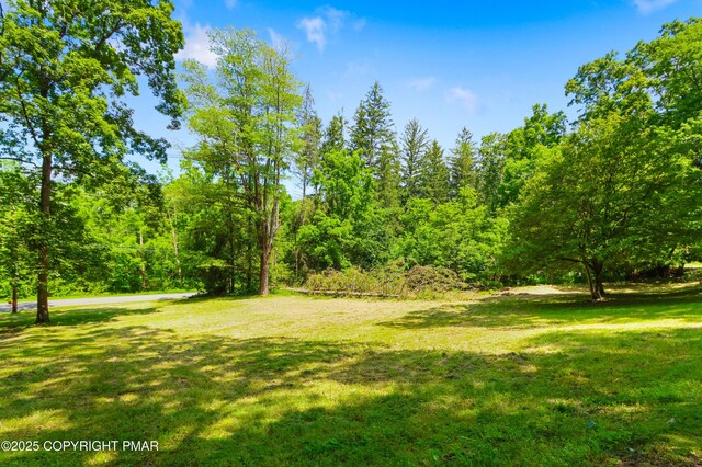 233 Congo Niantic Rd, Barto, PA 19504 - photo 4