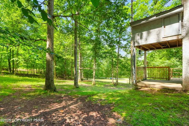 233 Congo Niantic Rd, Barto, PA 19504 - photo 6