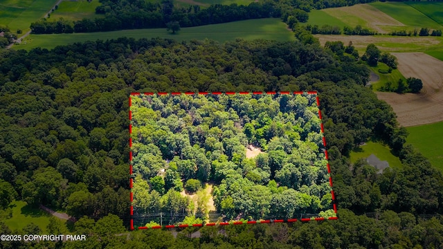 233 Congo Niantic Rd, Barto, PA 19504 - photo 2